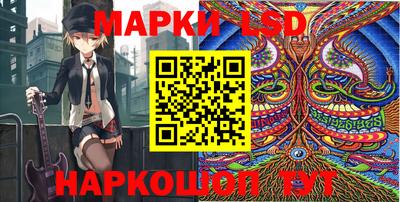 apvp Ярославль