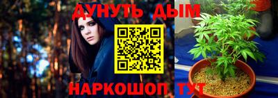 apvp Ярославль